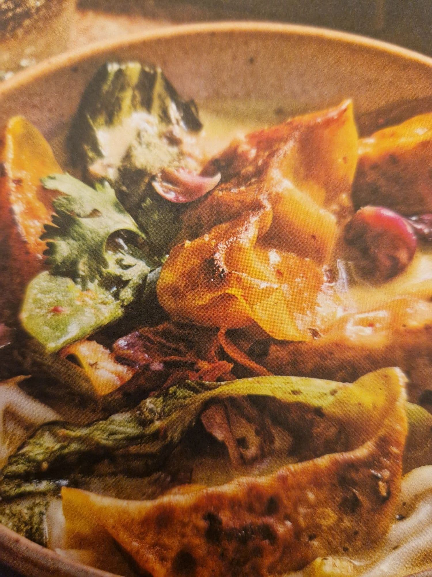 Spicy Gyoza Laksa-style Soup