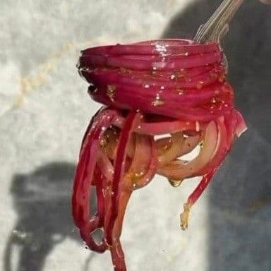 Marinated Red Onions MAGIC ELIXIRS (TM)